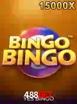 bingobingo